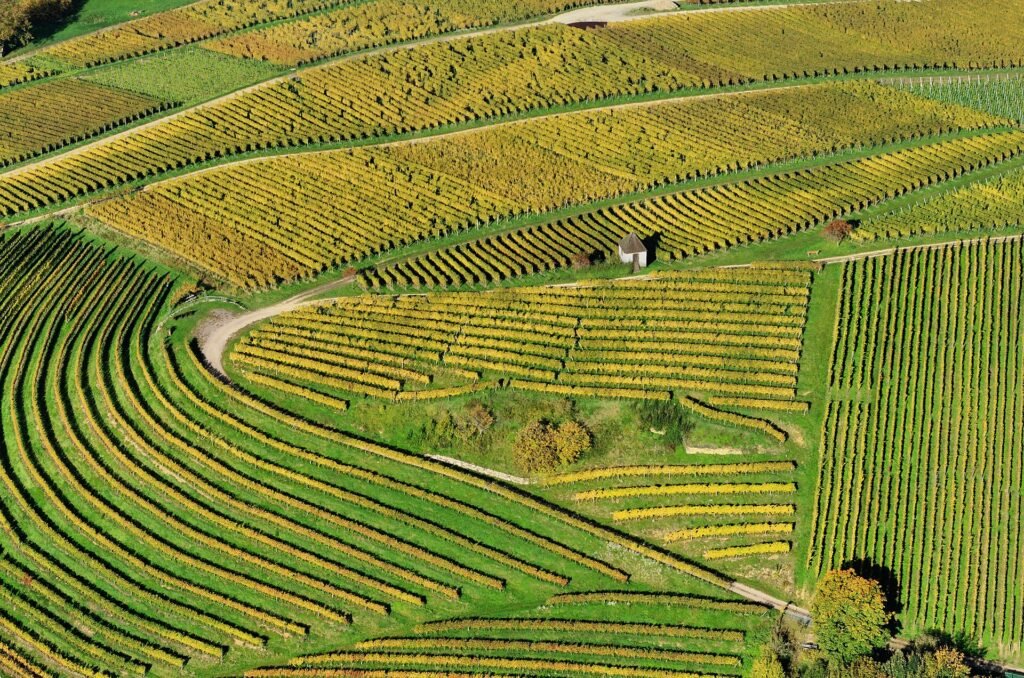 Aerial view of rolling vineyard hills
